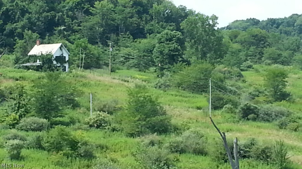 Great hunting land in desirable southern Muskingum Coutny, This parcel offers wooded areas along with old grown up padture for wildlife. The land is rolling and has good access. The large pond holds a nice bass population and of course pan fish. The old farm house on site is salvageable. This property is only 15 minutes from all normal conveniences in Zanesville. mineral rights do not transfer.