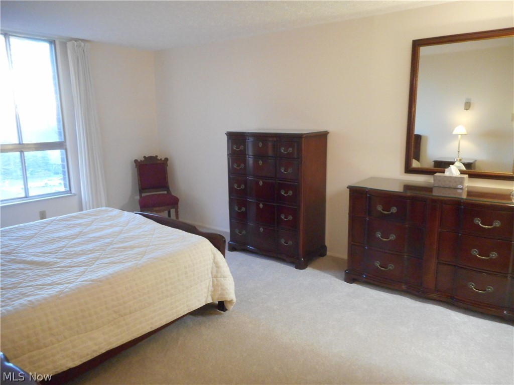 Silver Lake Towers Condo - Residential