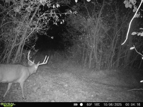 Vacant Land For Sale - County Road 99<br/> Warsaw, OH 43844