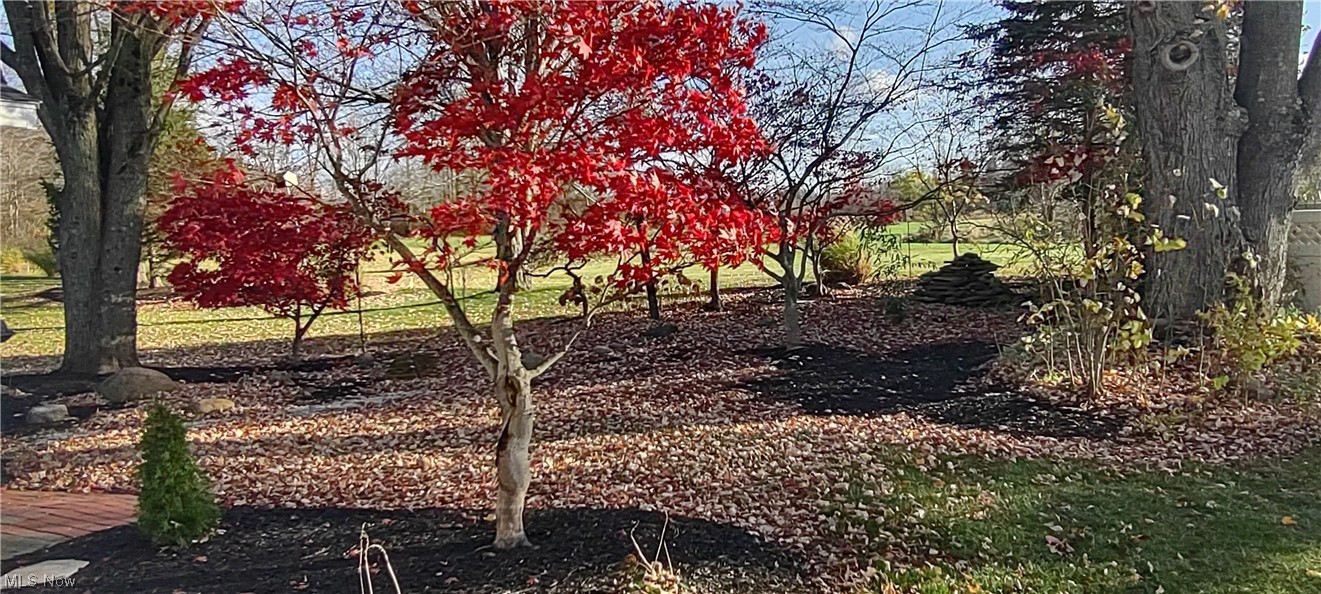 Meadowood - Residential