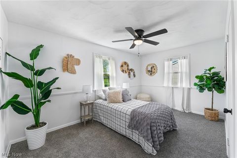 Tiny photo for 2934 Brunswick Road, Youngstown, OH 44511 (MLS # 5202574)