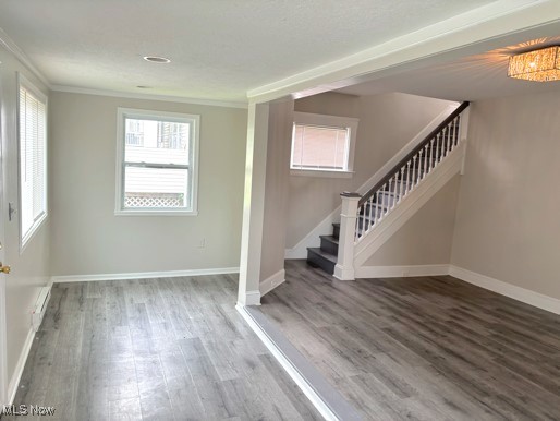 Parkdale - Residential