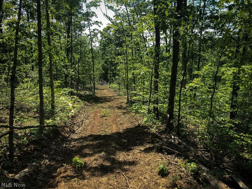 23 +/- acres of vacant land for sale in Guernsey County, Ohio. With possible hunting cabin site to build your weekend get away or to make a permanent residence, you will need to take a look at this. If fishing or boating is your thing, Senecaville Lake is just around the corner for your recreational fun. For the nature lover or the sportsman, wildlife sign abounds throughout the property.