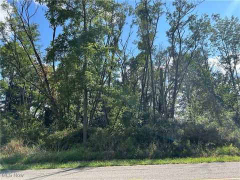 Photo for N Palmyra Road