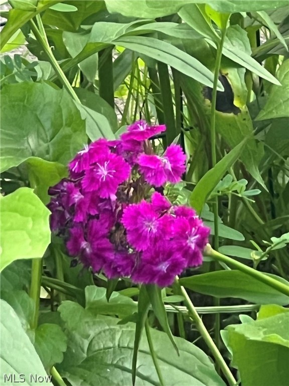 Elm Hill Estates - Residential