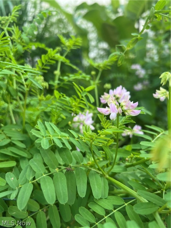 Elm Hill Estates - Residential