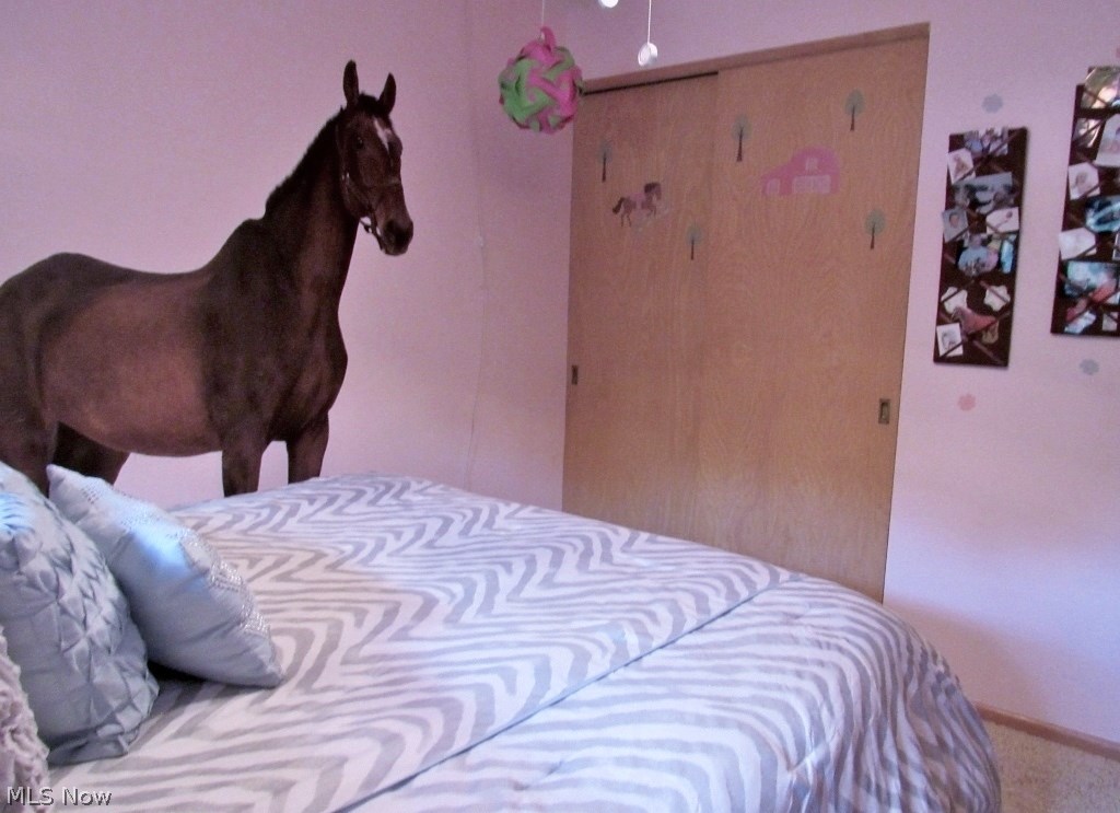 Massillon - Residential