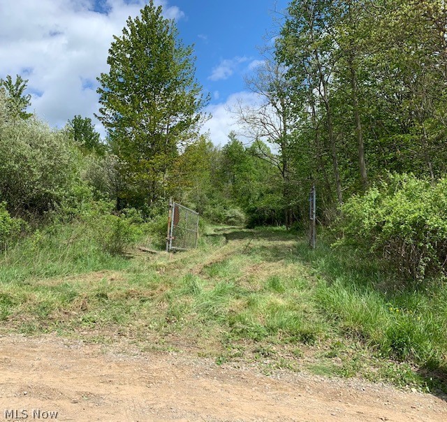 Awesome 30 Acres (some cleared/some wooded)! Private location for your getaway retreat or home away from home! There is a 24x24 rustic cabin with electric, wood stove, and enough space to relax; just needs your cosmetic/finishing touches and decorating ideas! There is a well on the property; but currently not in use. Possibilities are endless...great place to setup camp! The property has a ravine with spring fed creek! Great location/area for hunting! Mineral rights do not transfer.