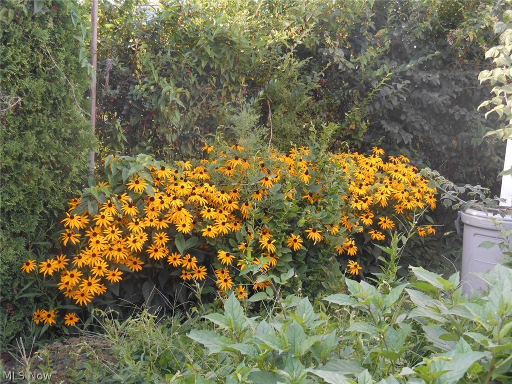 Permanent Homes - Residential