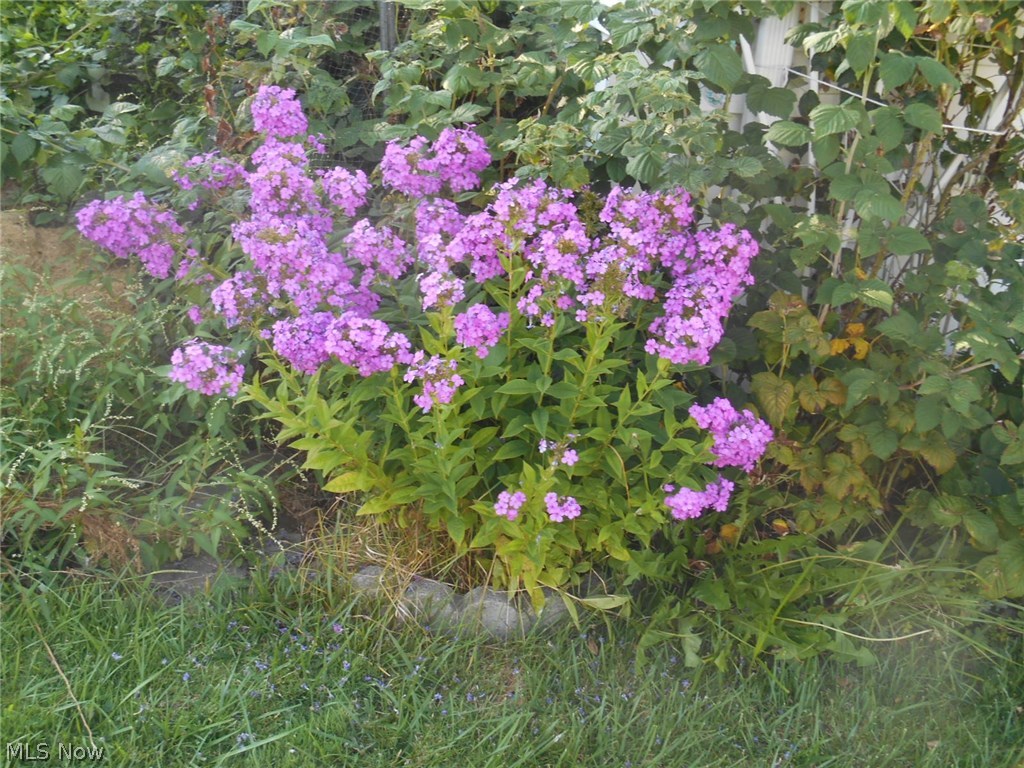 Permanent Homes - Residential