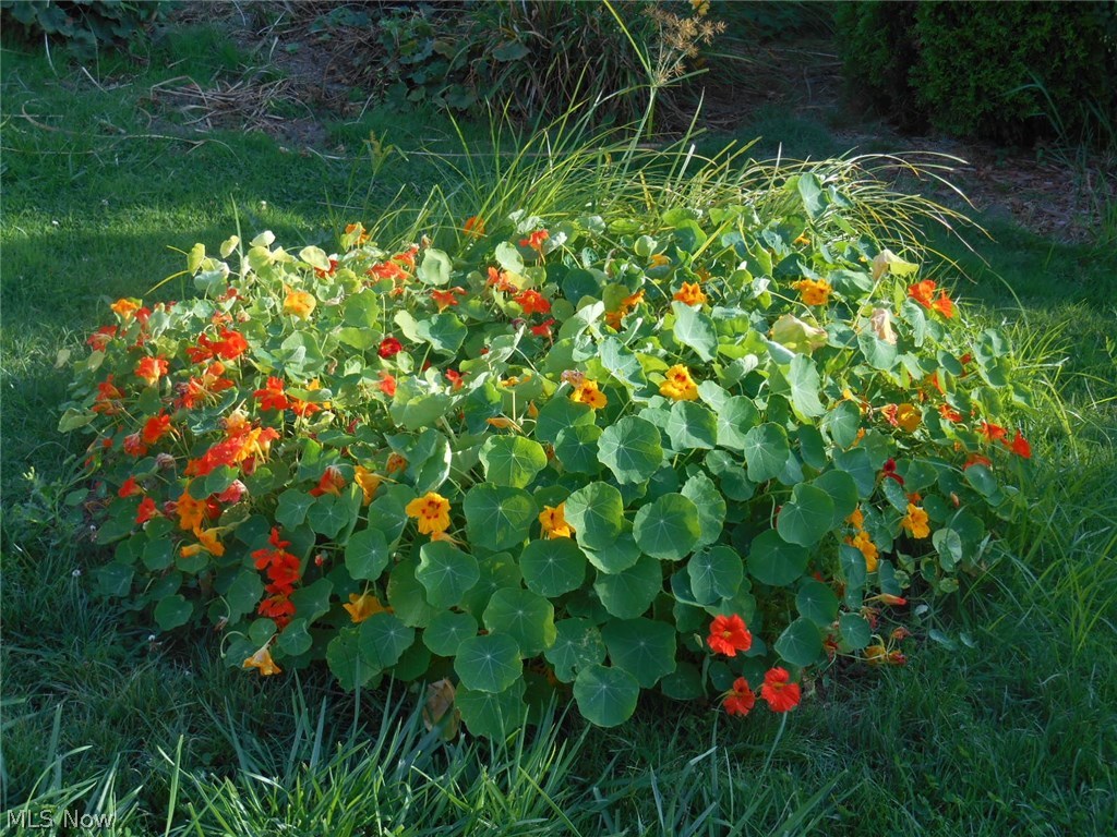 Permanent Homes - Residential