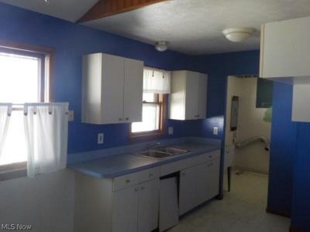 Willowick Park Allotment - Residential