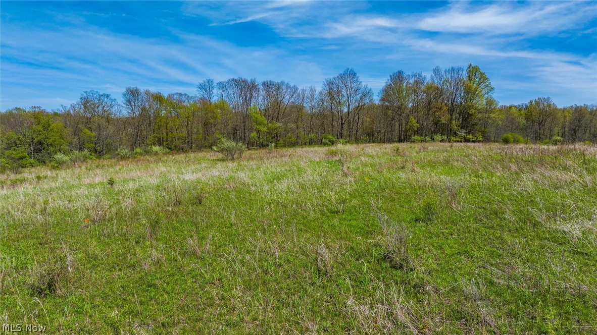 0 Mcclintocksburg Road A