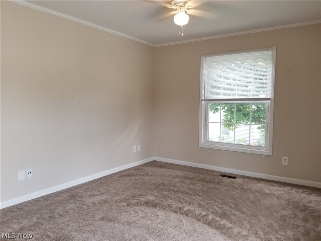 Williamsburg Court Condo - Residential