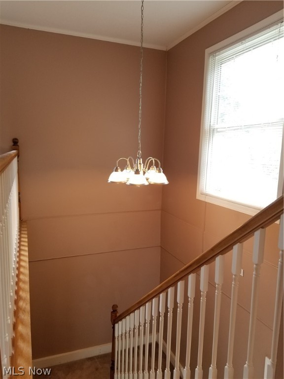 Williamsburg Court Condo - Residential