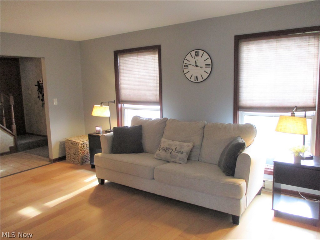 Angiline - Residential