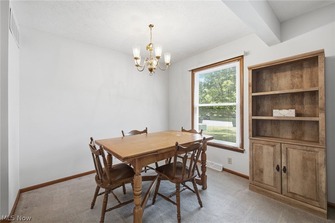 1138 Village Lane