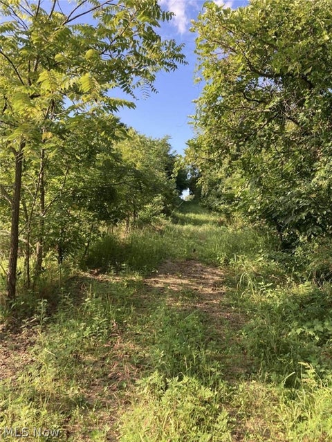 Tiny photo for Davis Ridge, Caldwell, OH 43724 (MLS # 5227989)
