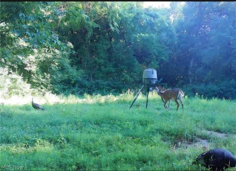 Tiny photo for Davis Ridge, Caldwell, OH 43724 (MLS # 5227989)