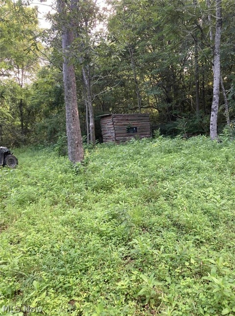 Tiny photo for Davis Ridge, Caldwell, OH 43724 (MLS # 5227989)