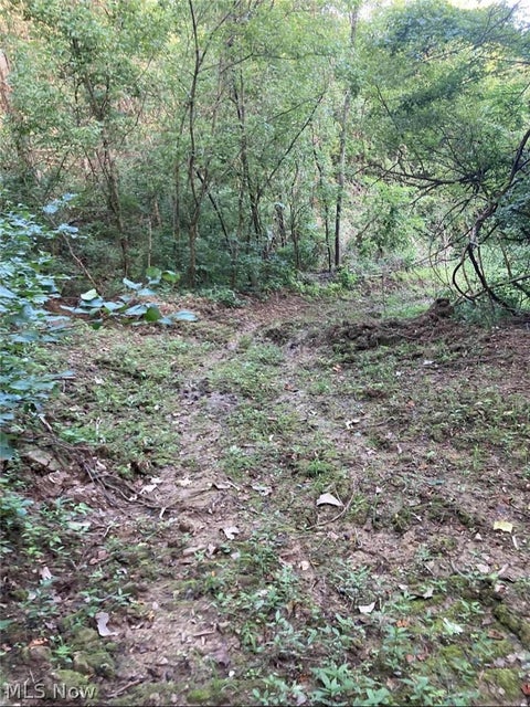 Tiny photo for Davis Ridge, Caldwell, OH 43724 (MLS # 5227989)