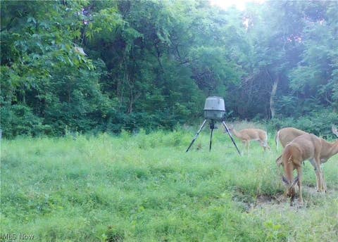 Tiny photo for Davis Ridge, Caldwell, OH 43724 (MLS # 5227989)