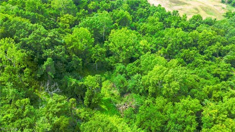 Tiny photo for Davis Ridge, Caldwell, OH 43724 (MLS # 5227989)