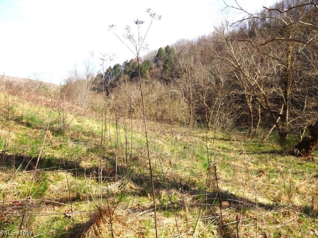 14479 Elk River Road, Duck, West Virginia image 37