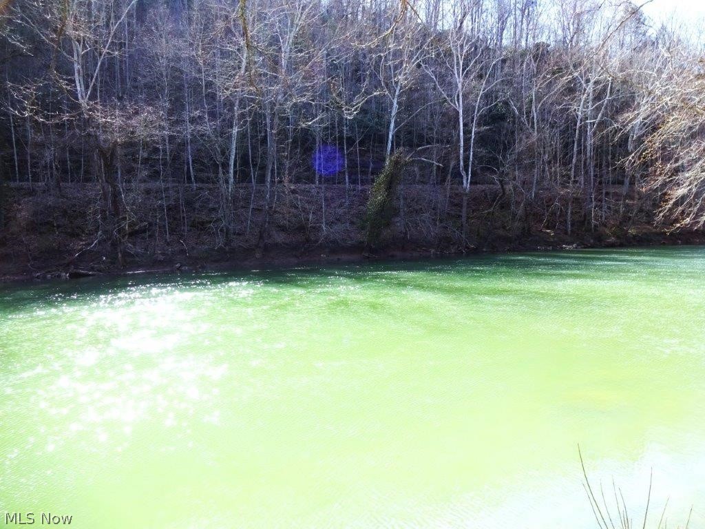 14479 Elk River Road, Duck, West Virginia image 48