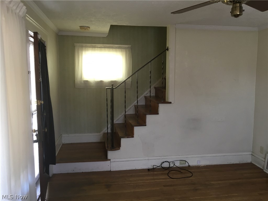 Lennox Park Allotment - Residential