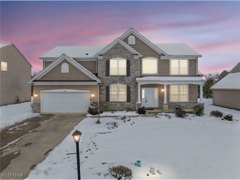 1191 W Chase Drive Brunswick OH 44212