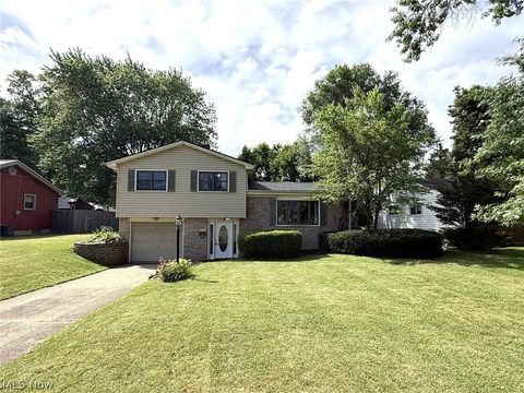 Photo of 4260 Wedgewood Drive, Austintown, OH 44511 (MLS # 5216176)