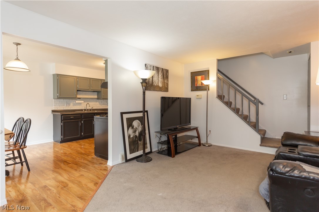 Big Turtle Condo - Residential