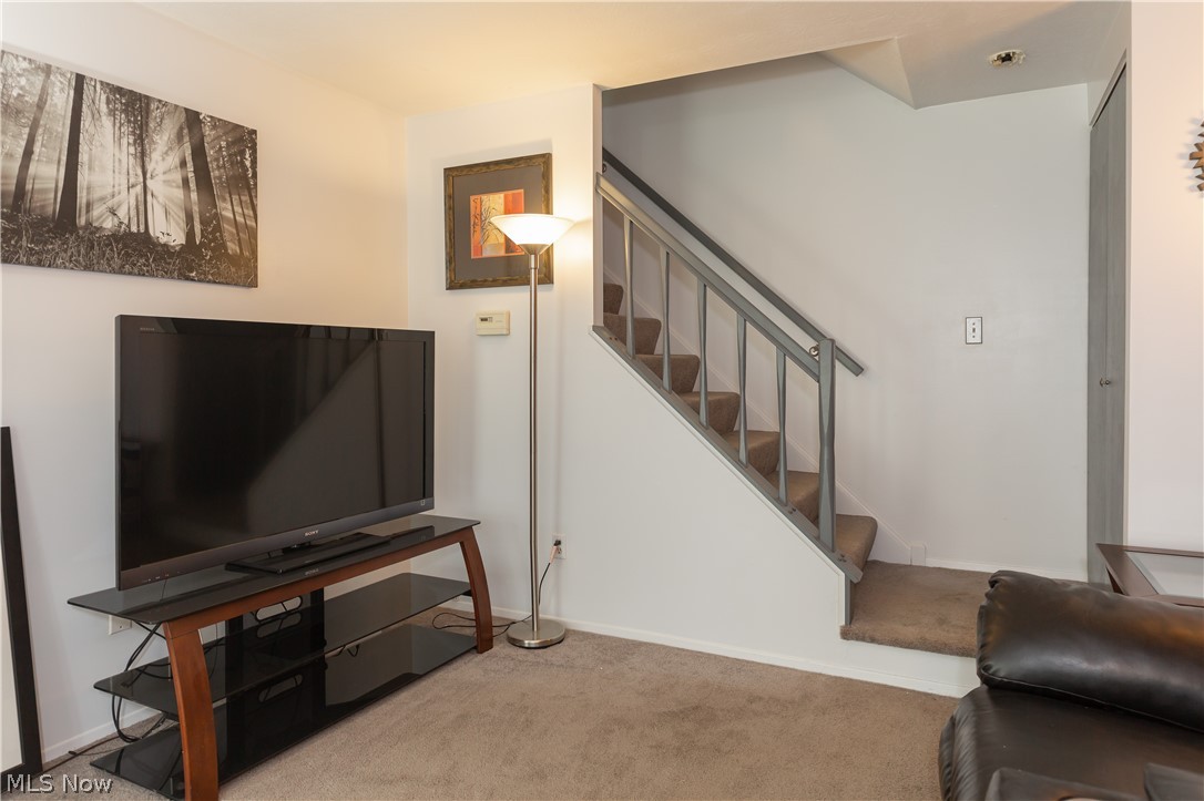 Big Turtle Condo - Residential