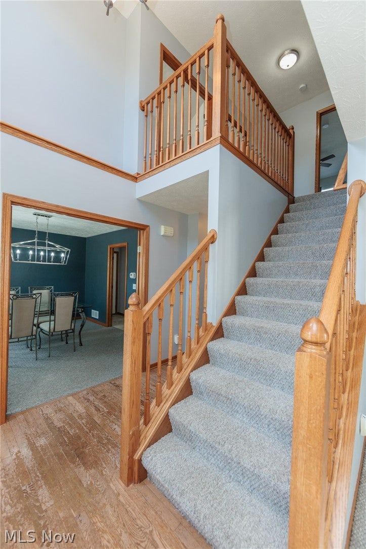 3621 Shelton Lane