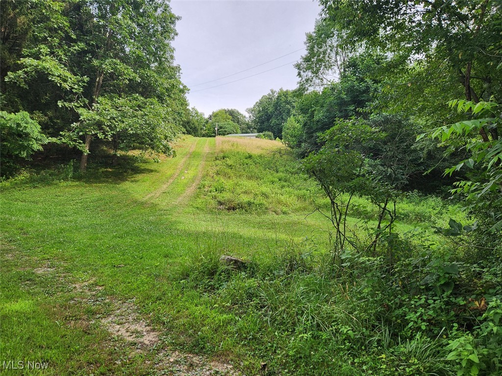 26.3 Acres Mostly Wooded Land.
Handyman 2-Bedroom Mobile Home/Hunting Cabin.
Carroll County, Carrollton, Carrollton EVSD.
Live Auction with Online Bidding Available.
ABSOLUTE AUCTION, all sells to the highest bidder on location.
ONLINE BIDDING BEGINS MONDAY, AUGUST 18, 2025, at 12:00 PM, and AUCTION LIVE ON-SITE BIDDING WILL BEGIN THURSDAY, AUGUST 21, 2025, at 12:00 PM.
Carroll County parcel #12-0000325. 26.379 acres of wooded land with a 2-bed, 2-bath single-wide on a permanent foundation, mobile home needs work. Discover a hunter's paradise nestled in the heart of Carroll County, Ohio. This 26.379-acre property offers a rare opportunity to own a secluded, wooded retreat ideal for hunting, outdoor recreation, or building your dream cabin getaway. Perfectly suited for whitetail deer, wild turkey, and small game with a mix of mature hardwoods, underbrush, and natural cover. Set back from busy roads, this property provides peace, quiet, and plenty of room to roam. Real estate half-year taxes are $314.61. Property is on well and septic. Whether you're scouting for your next trophy buck or planning your dream off-grid hideaway, this property is ready for your vision. All mineral rights owned by the seller to transfer. Walk the land with permission only. Call the auctioneer with questions on how to buy. The property will be open at 10:00 am on auction day.