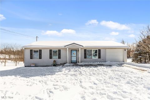 Homes For Sale - 62229 Ray Ramsey Road<br/> Jacobsburg, OH 43933