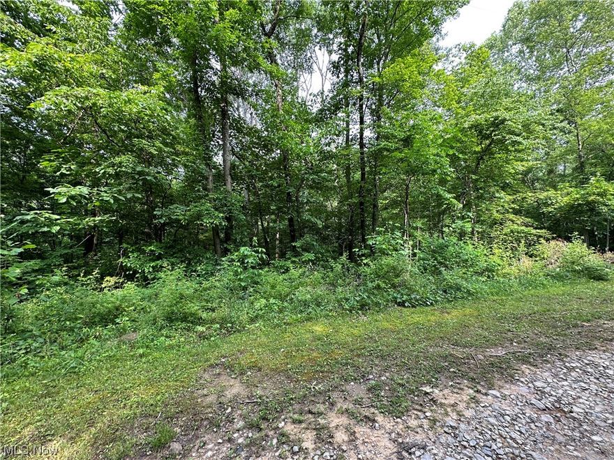 Great lot at Leesville lake close to the water and boat ramp. Wooded and full of nature. Perfect spot for a fisherman, hunter or camper looking for access to the lake.The lot is not big enough for a standard septic system if you were to build, but there are alternative options available as well. Come check it out