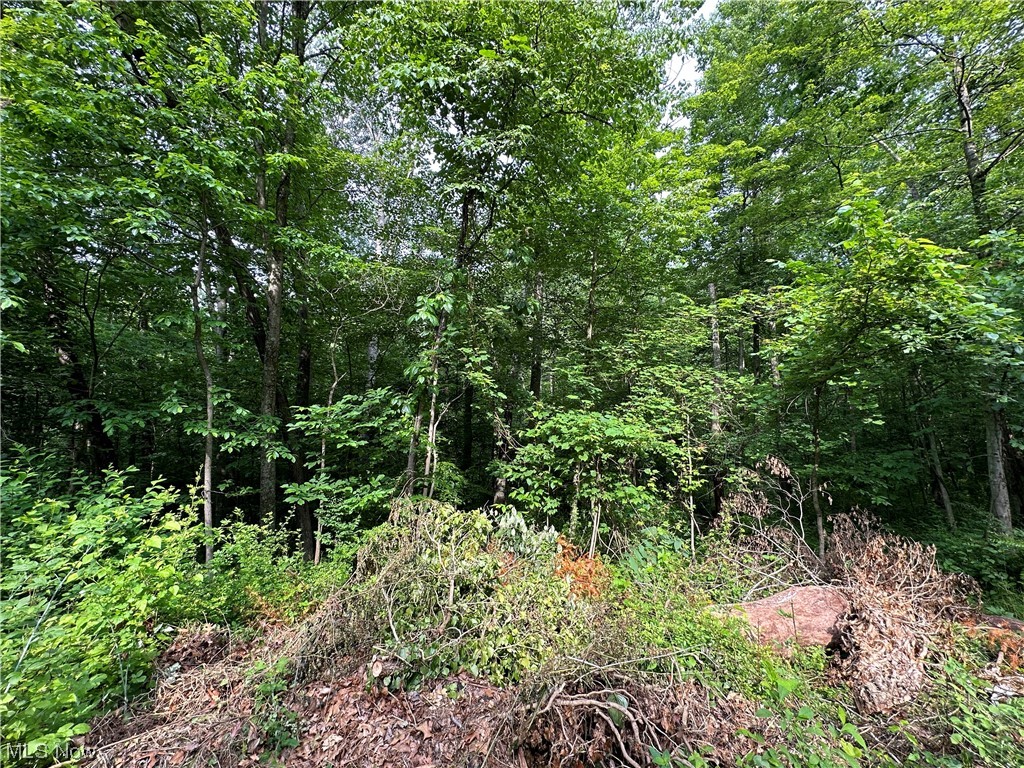 Lakeshore Park 06 - Land