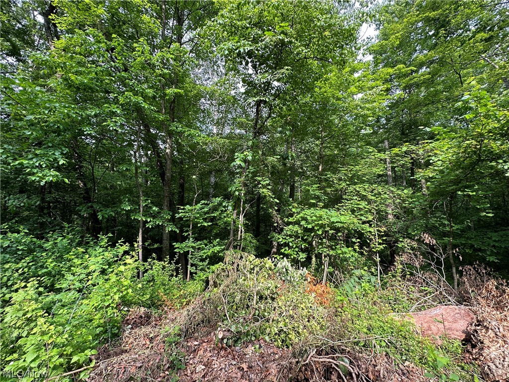 Lakeshore Park 06 - Land