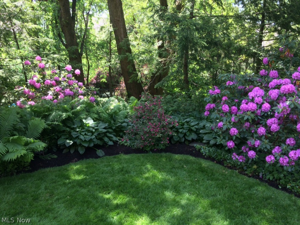 Ridgewood - Residential