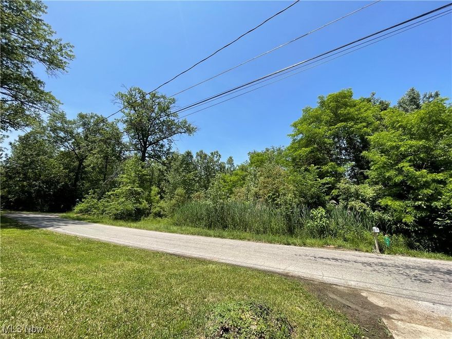 Private wooded lot available for building.  Tap ins at the street.  The owners are also selling the home across the street, and this could be a package deal for the right price.
