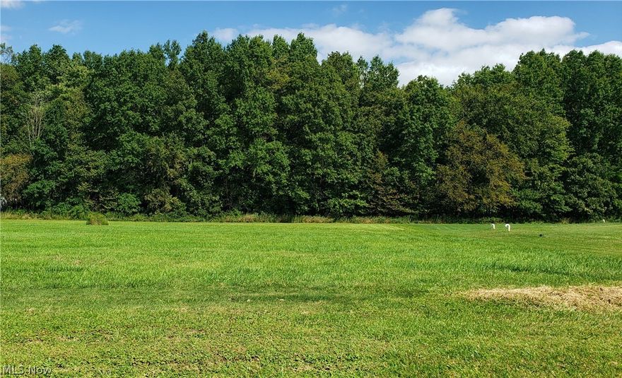 Nice building lot for your new home.  Back half of the lot is wooded.  There is a CAD off Burbank Rd that 4 lots share and maintain.  Buyers responsibility to obtain any further information that may be wanted, that is not listed here.