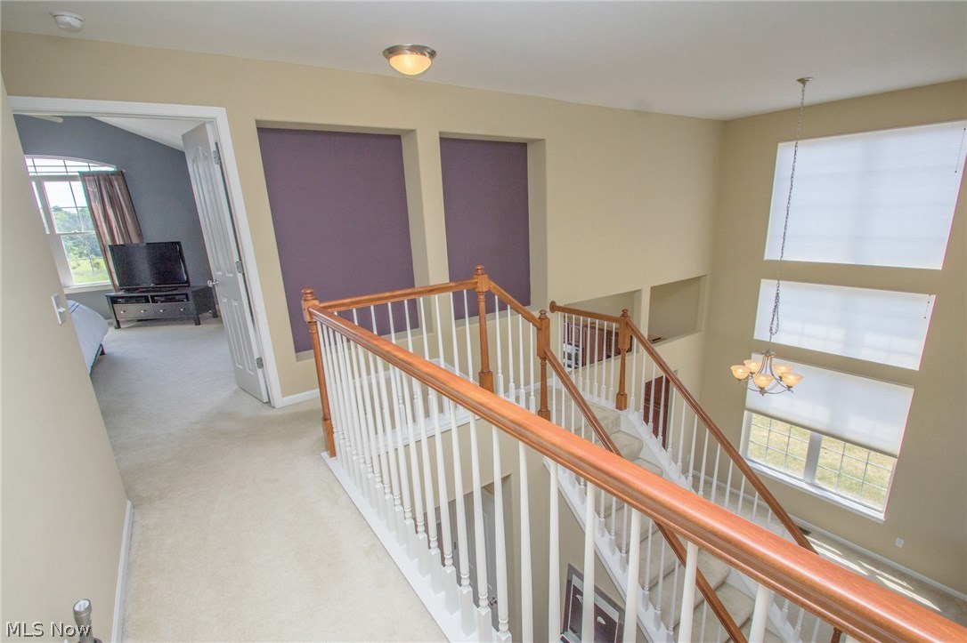 Wakefield Run Conservation - Residential