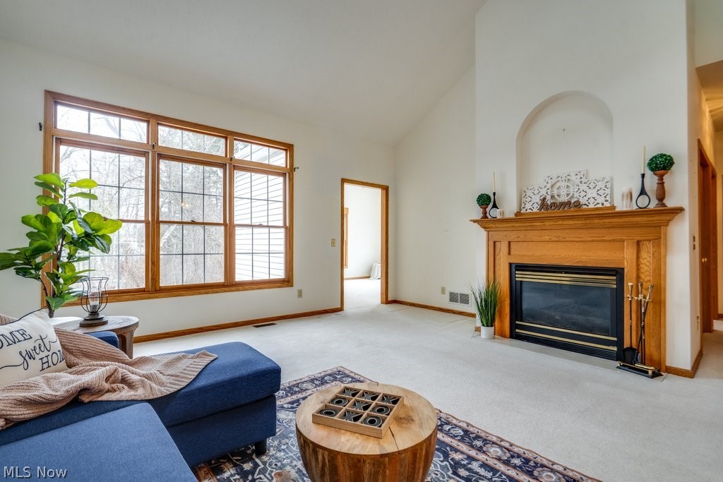 Bridlewood Village Condos - Residential