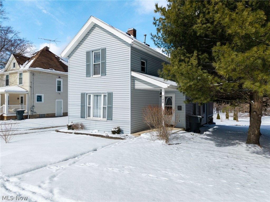 Photo of 242 E Walnut Street, Wadsworth, OH 44281 (MLS # 5189005)