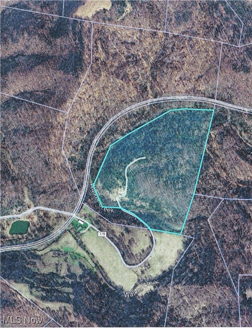 54 Acres mostly wooded, over grown homesite. Not timbered for many years, excellent hunting and recreational property, great place for a cabin or camping area. "Rails to Trails" with in sight. Good fishing in Walker Creek that borders property, no zoning or restrictions, ATV access only, low water crossing into the property.