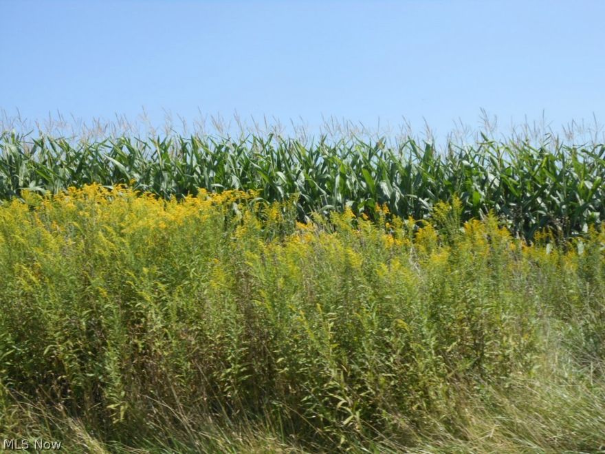 Leased MINERAL RIGHTS transfer! These 2 lots total almost 6 acres. Build your dream home today  on this beautiful lot! Located in Unity Township with no zoning and with no deed restrictions on the lots.  Additional land available.