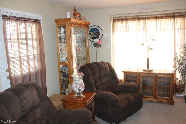 Firestone Park - Residential