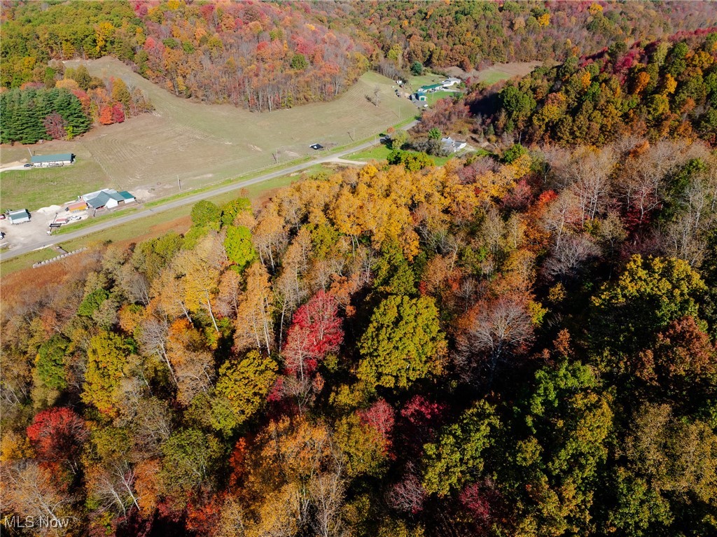 Kedigh Hollow Road, Newcomerstown, Ohio image 2